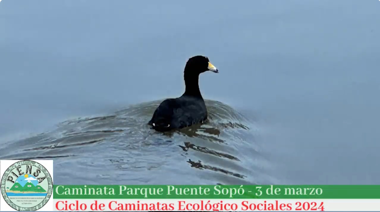 Memorias Caminata Ecológico Social al Parque Puente Sopó