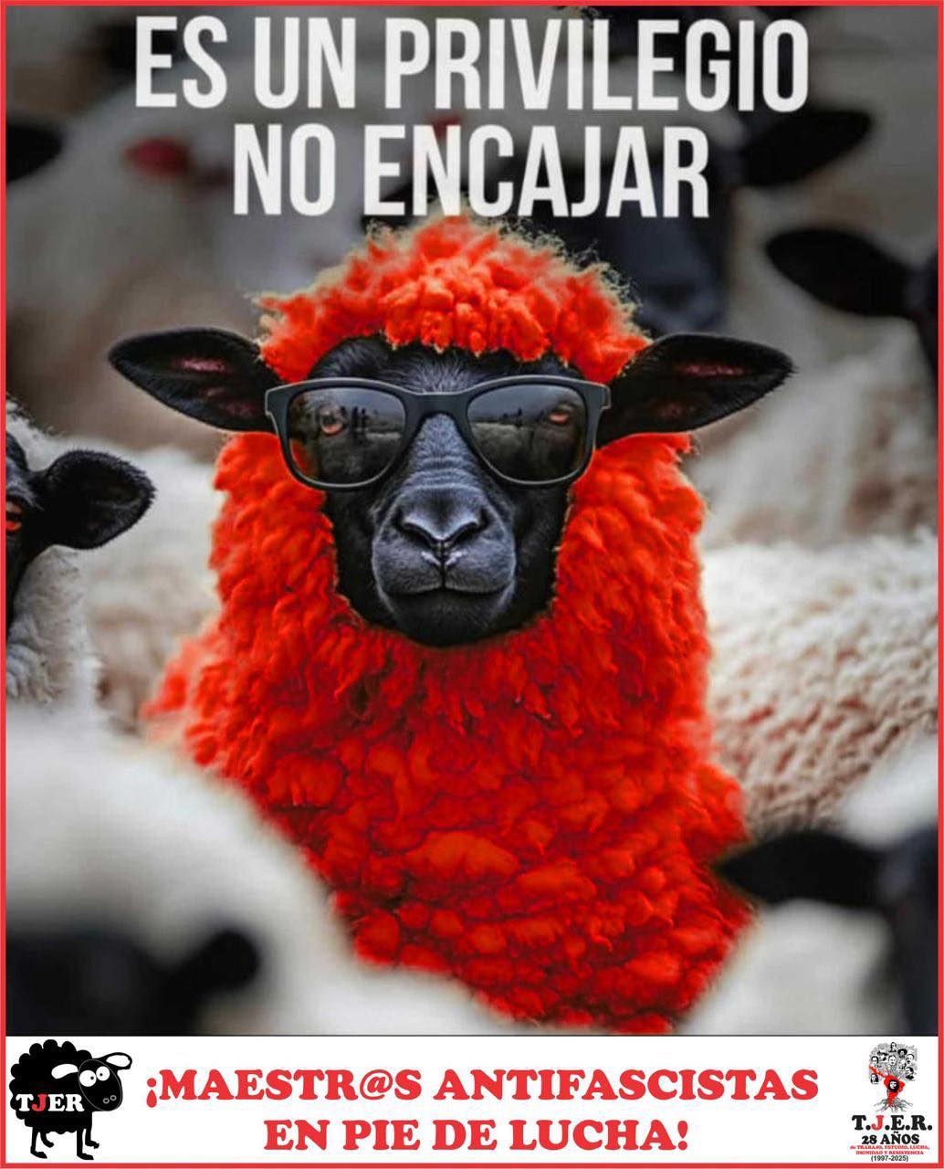 Siempre es…UN PRIVILEGIO NO ENCAJAR