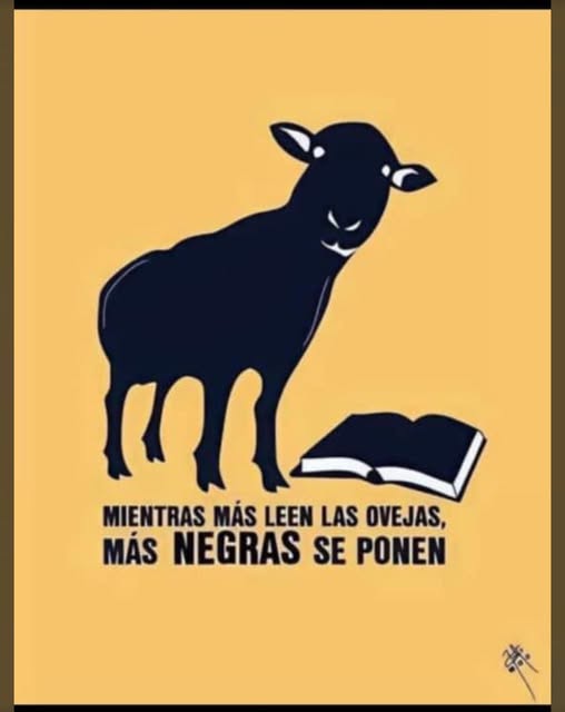 Sigue el canal de whatsapp de tjer